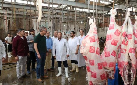 الزراعة تكشف عن ذبح 11719 أضحية بالمجازر الحكومية بالمجان للمواطنين