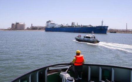 ميناء دمياط يستقبل 12 سفينة جديدة للحاويات والبضائع العامة