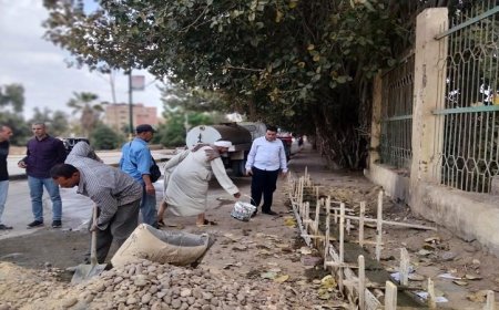 محافظة الجيزة تعزز جهود الوحدات المحلية لاستجابة سريعة لشكاوى المواطنين