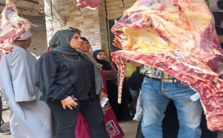 تحرير 98 محضر تمويني ومصادرة لحوم غير معروفة المصدر في المنوفية