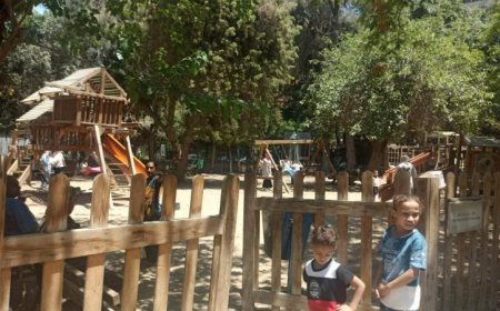 الزراعة تستقبل 38 ألف زائر في حدائق الحيوان الإقليمية وأحواض السمك