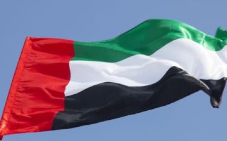 الإمارات تدعم حق الكويت في اتخاذ كافة الإجراءات لحماية سيادتها
