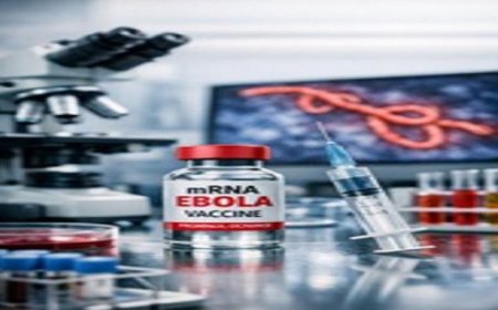 لقاح مبتكر ضد الإيبولا يوفر حماية فعالة من سلالات متعددة قاتلة
