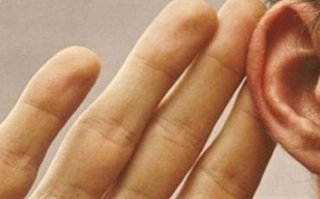 اختلافات سمعية بين الرجال والنساء وكيفية تأثيرها على الحياة اليومية