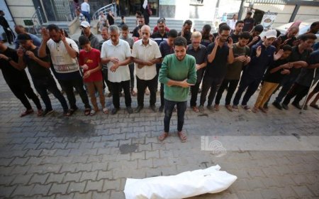 استشهاد فلسطيني وإصابات نتيجة قصف غرب غزة والاحتلال يعتقل شابا من قلقيلية