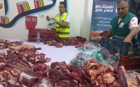 محافظ أسيوط يعلن ذبح وتوزيع لحوم 45 رأس ماشية للأسر المحتاجة