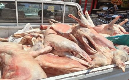 الجيزة تحقق نجاحا كبيرا بضبط 10 أطنان من اللحوم والدواجن غير المطابقة للمواصفات