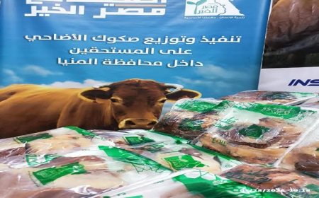 محافظ المنيا يكشف توزيع لحوم الأضاحي على أكثر من 30 ألف أسرة في المحافظة