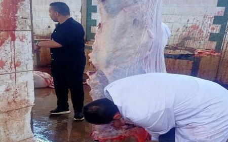 الزراعة تعلن عن ذبح 35514 أضحية مجانية للمواطنين في المجازر الحكومية خلال عيد الأضحى