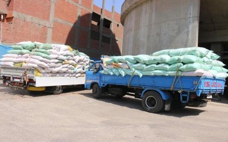 محافظ المنوفية يعلن توريد أكثر من 140 ألف طن من القمح حتى الآن
