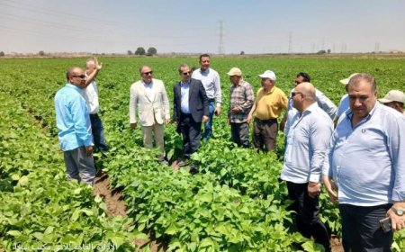 زيارة ميدانية لوزارة الزراعة لمحطات التجارب البحثية في كفر الشيخ خلال عيد الأضحى المبارك