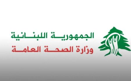 استشهاد 9 سوريين بينهم 6 أطفال في غارة جوية إسرائيلية على عدلون