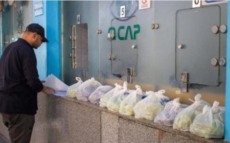 فحص 2500 عينة في عيد الأضحى من قبل وزارة الزراعة في معمل متبقيات المبيدات
