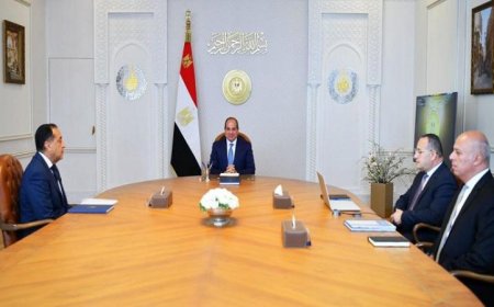الرئيس السيسي يشدد على ضرورة تعزيز التعليم العالي وتحفيز البحث العلمي