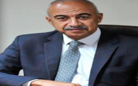 رئيس هيئة الطاقة المتجددة السابق يؤكد أن مرونة التشريعات كانت مفتاح تحول مصر نحو الاقتصاد الأخضر
