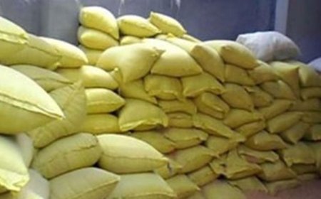 ضبط 4 أطنان من الدقيق الأبيض والبلدي المدعم في حملات تموينية ناجحة خلال يوم واحد