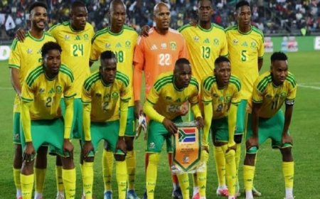 أزمة تأشيرات تهدد استعدادات جنوب أفريقيا لاستضافة المونديال والوزير ينتقد الاتحاد