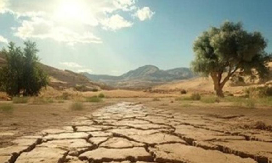 ابتكار تقنيات ثورية لاستصلاح الأراضي القاحلة من خلال استخدام البكتيريا الزرقاء
