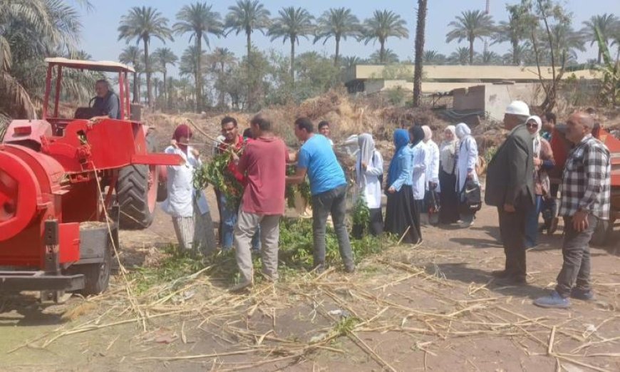 جامعة القاهرة تطلق وحدة جديدة لتحويل المخلفات الزراعية في كلية الزراعة