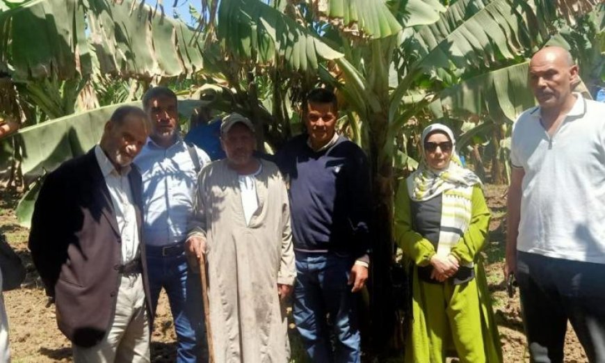 ملخص شامل لجهود وأنشطة معاهد ومعامل البحوث الزراعية في وزارة الزراعة