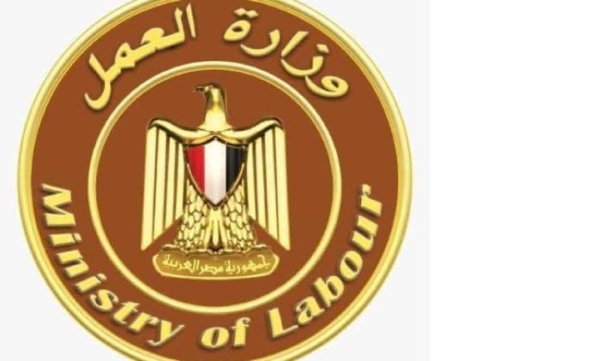 استكشف 4145 وظيفة جديدة في 11 محافظة حسب نشرة وزارة العمل الأسبوعية للتوظيف