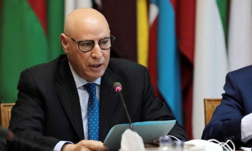 الجامعة العربية تؤكد أهمية حرية الصحافة كعنصر أساسي لضمان إعلام متعدد وموثوق ومكافحة الكراهية