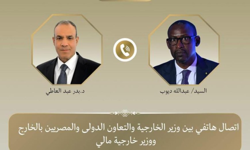 وزير الخارجية المصري يعبر عن دعم بلاده لمالي ويجدد إدانته للهجمات الإرهابية