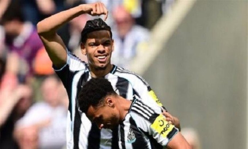 نيوكاسل يحقق انتصاراً مهماً على برايتون ويؤكد قوته في الدوري