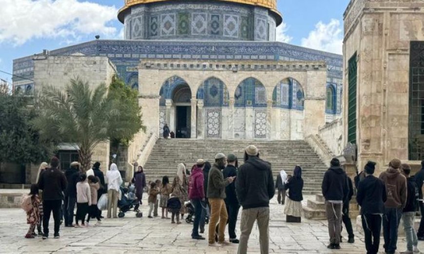 تحذير من القدس بشأن دعوات الاحتلال لاقتحام المسجد الأقصى في منتصف مايو