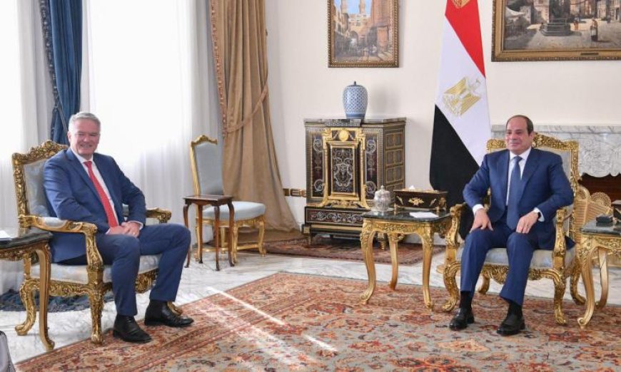 الرئيس السيسي يؤكد أهمية تعزيز التعاون مع منظمة التنمية الاقتصادية والرقمية