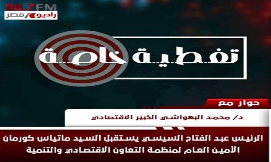 خبراء الاقتصاد يشددون على أهمية لقاء السيسي برئيس منظمة التعاون الاقتصادي والتنمية لتعزيز التعاون الدولي