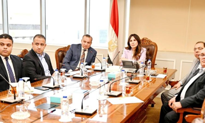 وزيرة الإسكان تراقب تطورات مشروعات الجهاز المركزي للتعمير في الإسكندرية