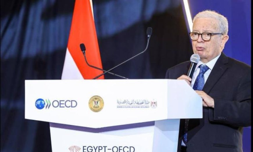 نائب رئيس الوزراء يؤكد أن منظمة التعاون الاقتصادي والتنمية تظل شريكا استراتيجيا vital للاقتصادات المستقبلية