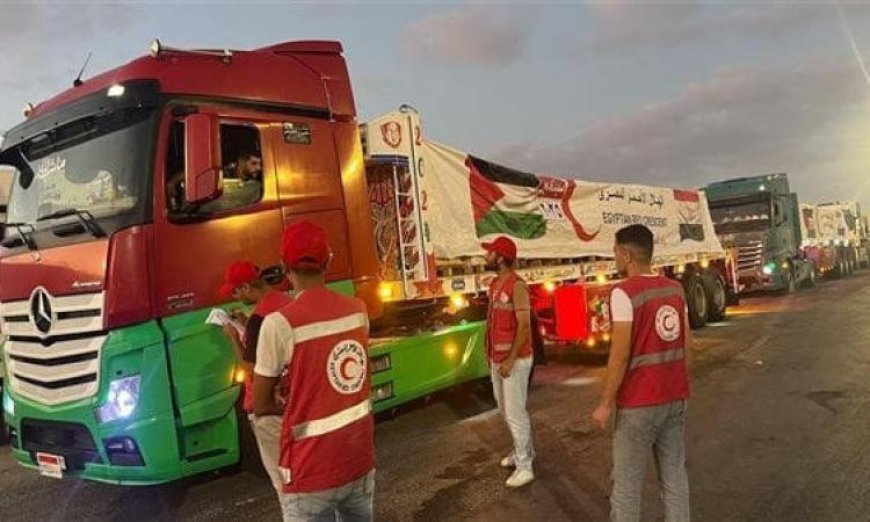 قافلة زاد العزة 189 تصل إلى قطاع غزة لتلبية احتياجات الفلسطينيين