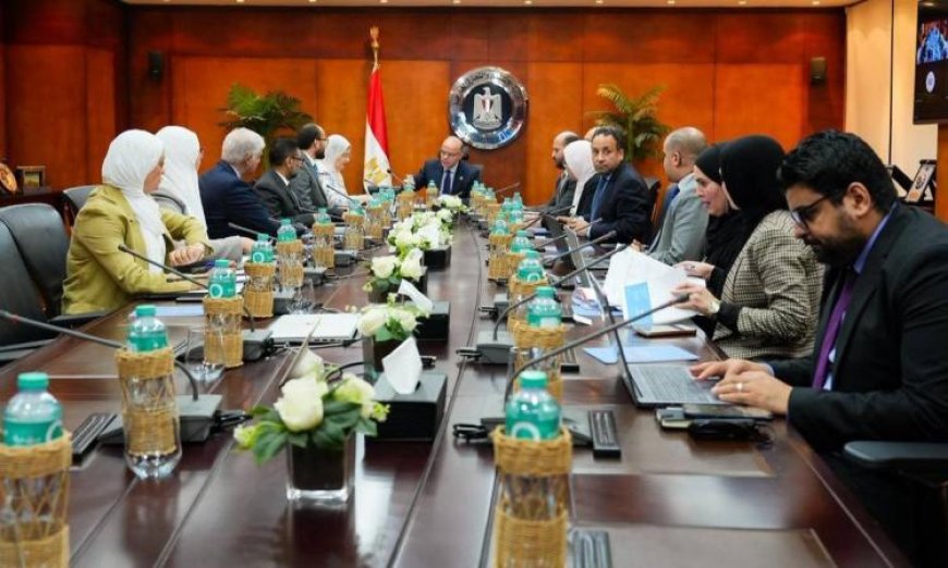وزير الاستثمار يناقش مع يونيدو سبل تعزيز التنافسية وتأهيل الصادرات للأسواق الأوروبية