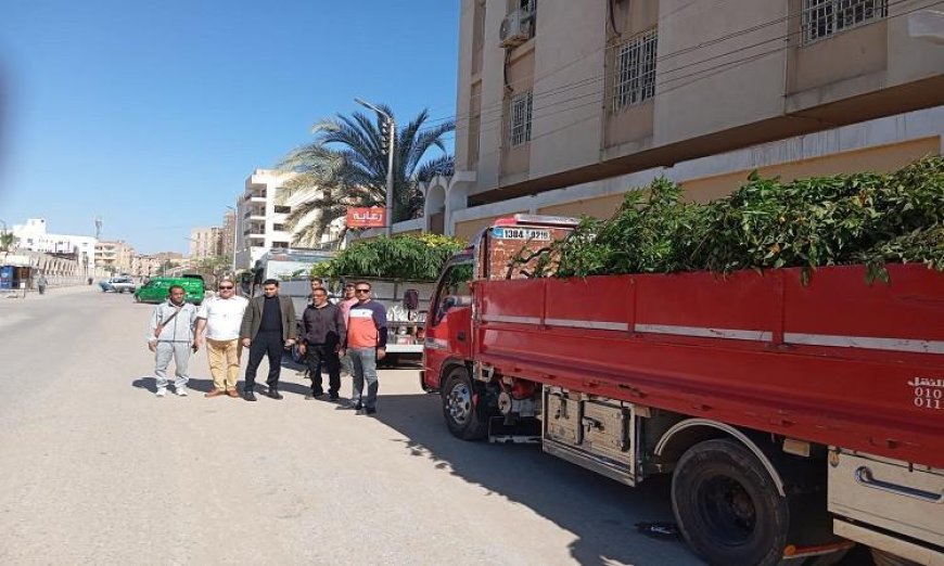 محافظ الفيوم يراقب استلام 10000 شجرة في إطار المبادرة الرئاسية لزراعة 100 مليون شجرة