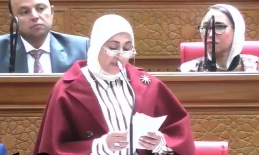 رئيسة لجنة الإعلام بمجلس النواب تدعو لصرف مكافآت نهاية الخدمة للعاملين في ماسبيرو