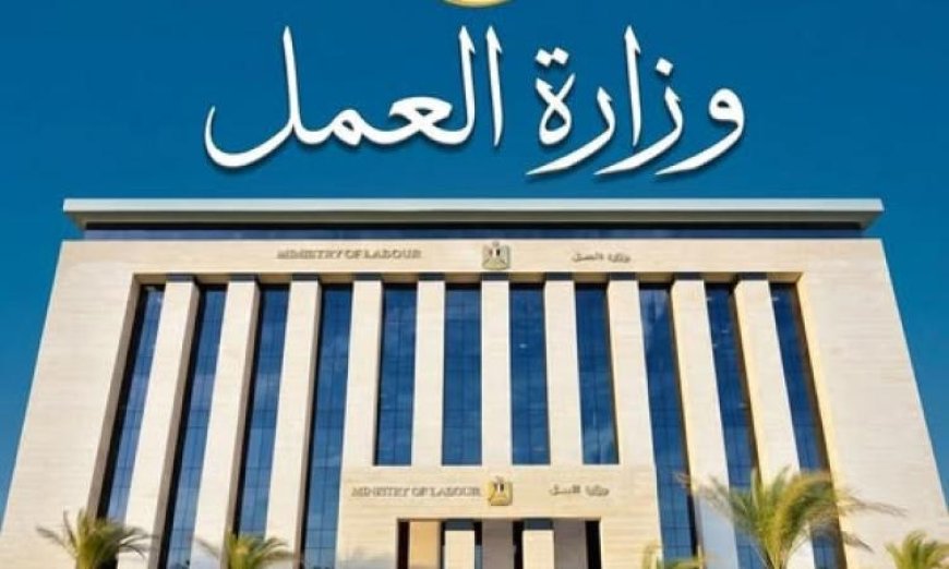 وزير العمل يعلن عن إنشاء وحدة مركزية جديدة لتسهيل إجراءات المستثمرين