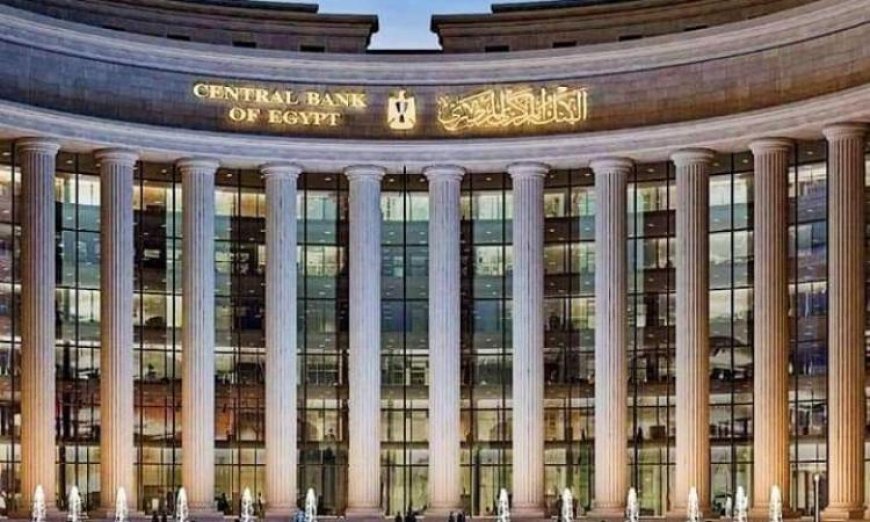 ارتفاع صافي الاحتياطي النقدي الأجنبي لدى البنك المركزي إلى 53 مليار دولار