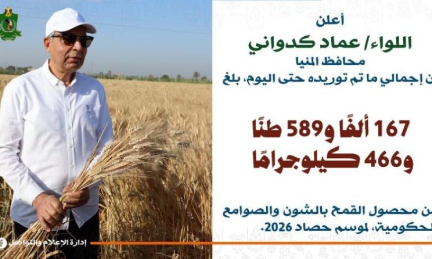 محافظ المنيا يعلن عن تجاوز توريد القمح 167 ألف طن مع بدء موسم 2026