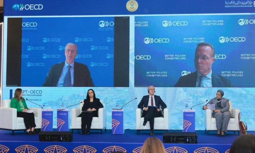 أمل عمار تؤكد نجاح مصر في تمكين المرأة اقتصادياً بالتعاون مع منظمة التعاون والتنمية الاقتصادية OECD
