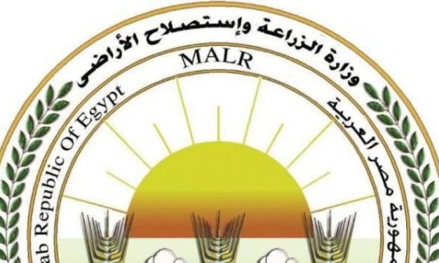 الزراعة تعزز وجودها الميداني في المحافظات لدعم الزراعة التعاقدية وتحسين الإنتاج الزراعي