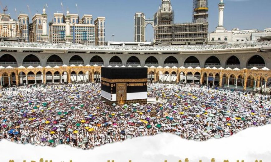 مايا مرسي تعلن عن بدء أولى رحلات حجاج الجمعيات الأهلية إلى المدينة المنورة غدا