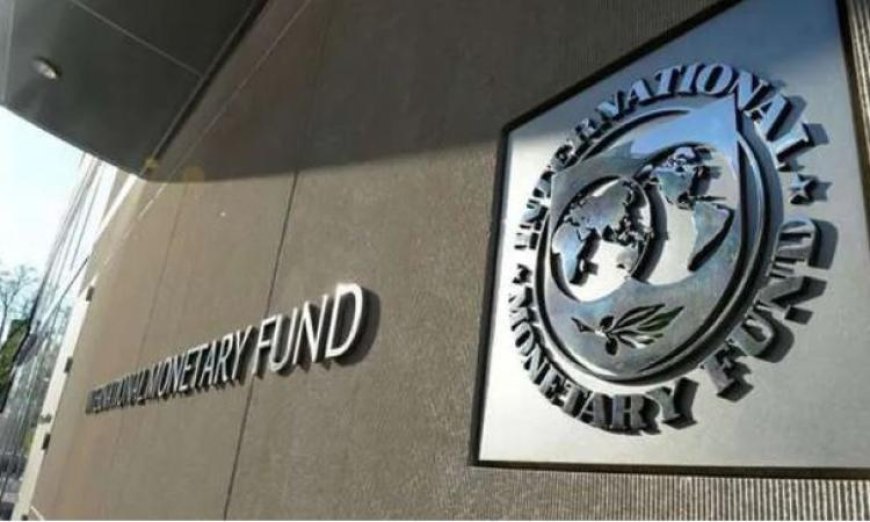 صندوق النقد الدولي يتنبأ بصافي دخل بقيمة 2.5 مليار دولار بحلول عام 2026