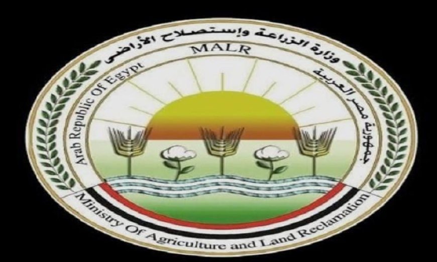 الزراعة تكشف عن استعداداتها لعيد الأضحى بطرح 15000 رأس ماشية بأسعار مخفضة