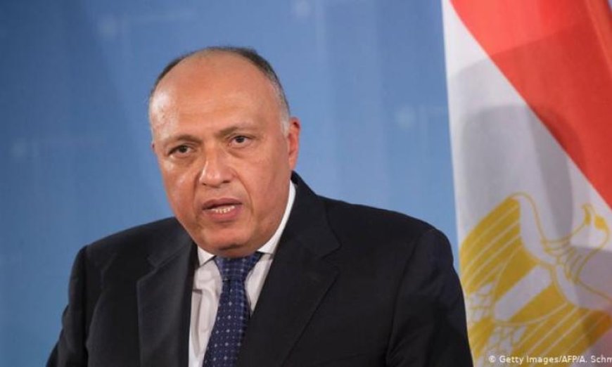 رئيس خارجية النواب يؤكد أن زيارة ماكرون تعزز قوة وعمق العلاقات المصرية الفرنسية