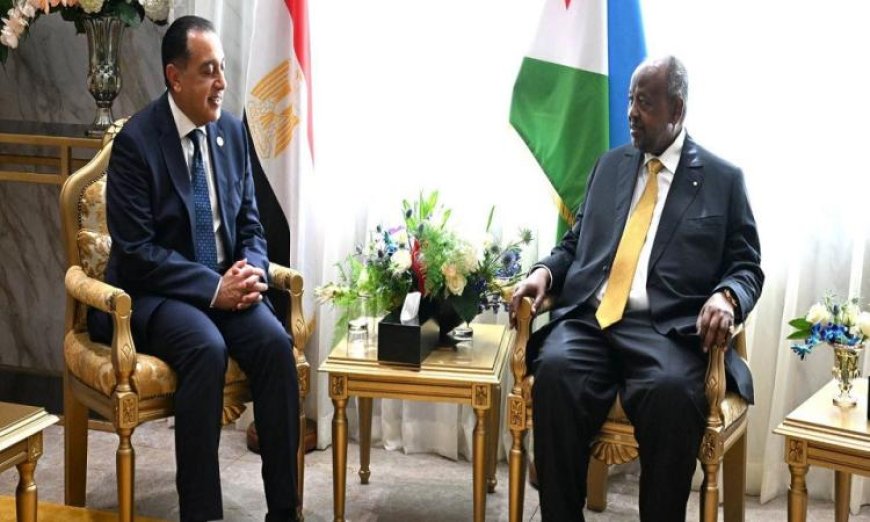 تعزيز العلاقات الثنائية بين جيبوتي ومصر رئيس الوزراء يبحث سبل التعاون في مجالات متعددة بالصور
