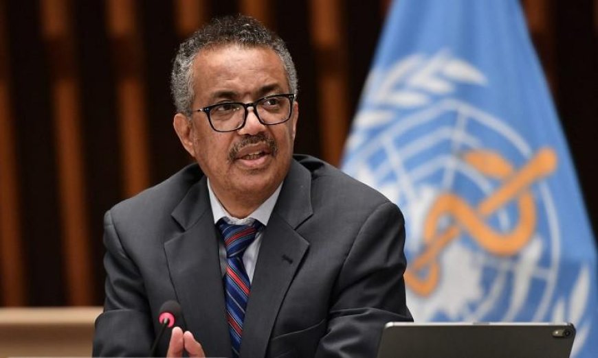 مدير منظمة الصحة العالمية يتوجه إلى إسبانيا لمتابعة تفشي فيروس هانتا بين ركاب سفينة