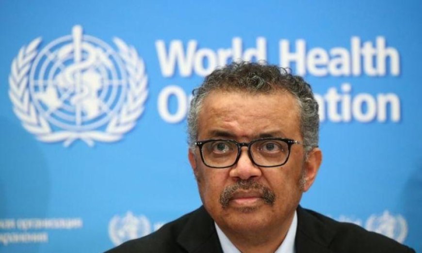 مدير الصحة العالمية يكشف عن انخفاض خطر انتقال هانتا من السفينة المصابة