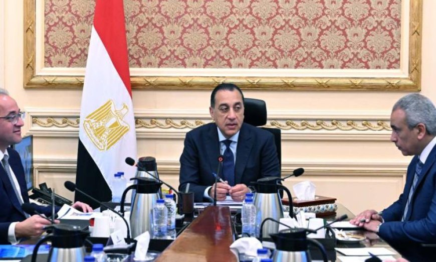 الحكومة تسعى لتبني السيارات الكهربائية وتخطط لإجراءات جديدة للتحول المستدام